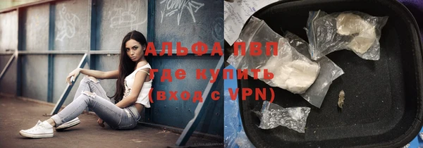 гидра Аркадак