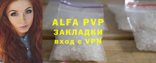 spice Карпинск