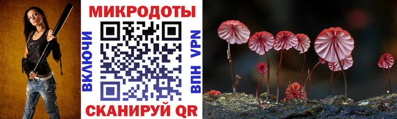 Купить где  Апрелевка  Псилоцибиновые грибы GOLDEN TEACHER 