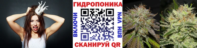 Каннабис ГИДРОПОН  Купить где  Апрелевка 